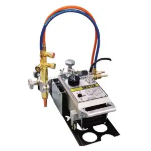 Rùa Cắt Gió Đá - KOIKE Nhật Bản