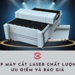 may cat laser 1